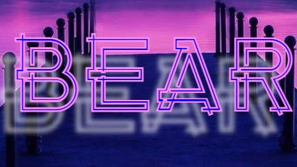 We Love Bear