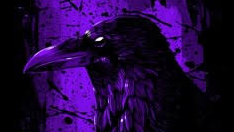 Clan Ravenのバナー