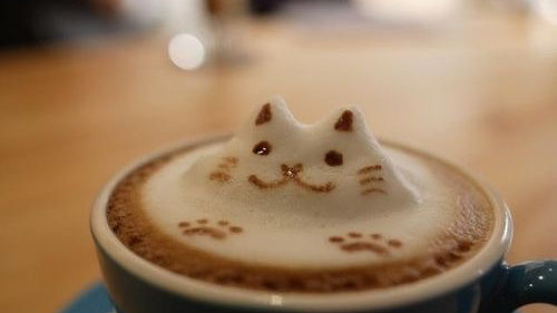 Catfeines Coffee Shopのバナー