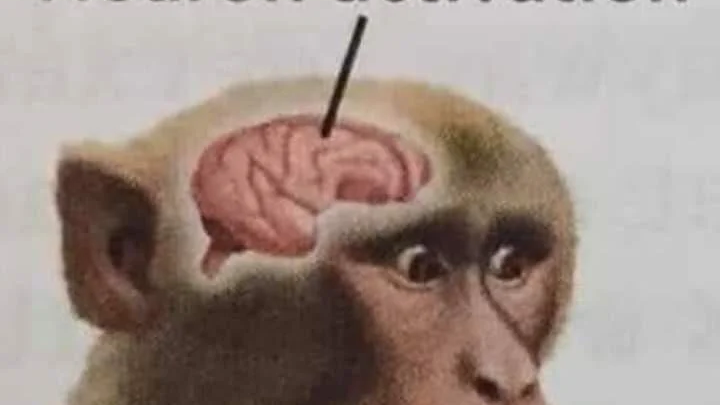 Single Neuron Society