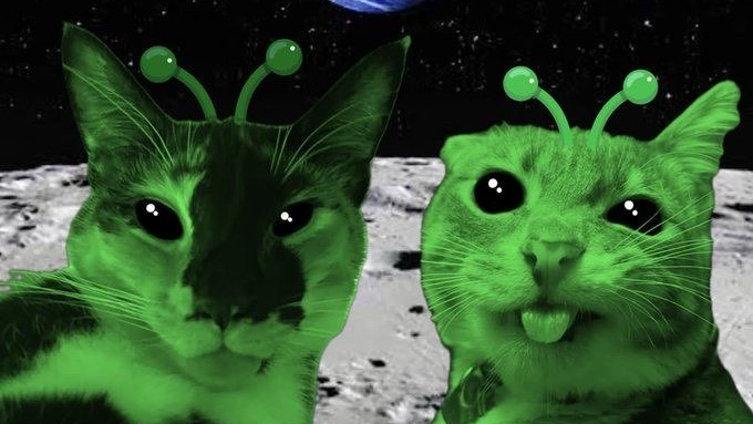 The_Goobers