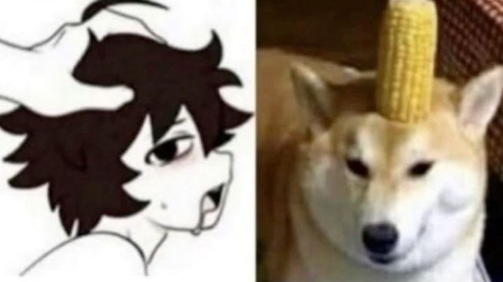 i would let you crackのバナー