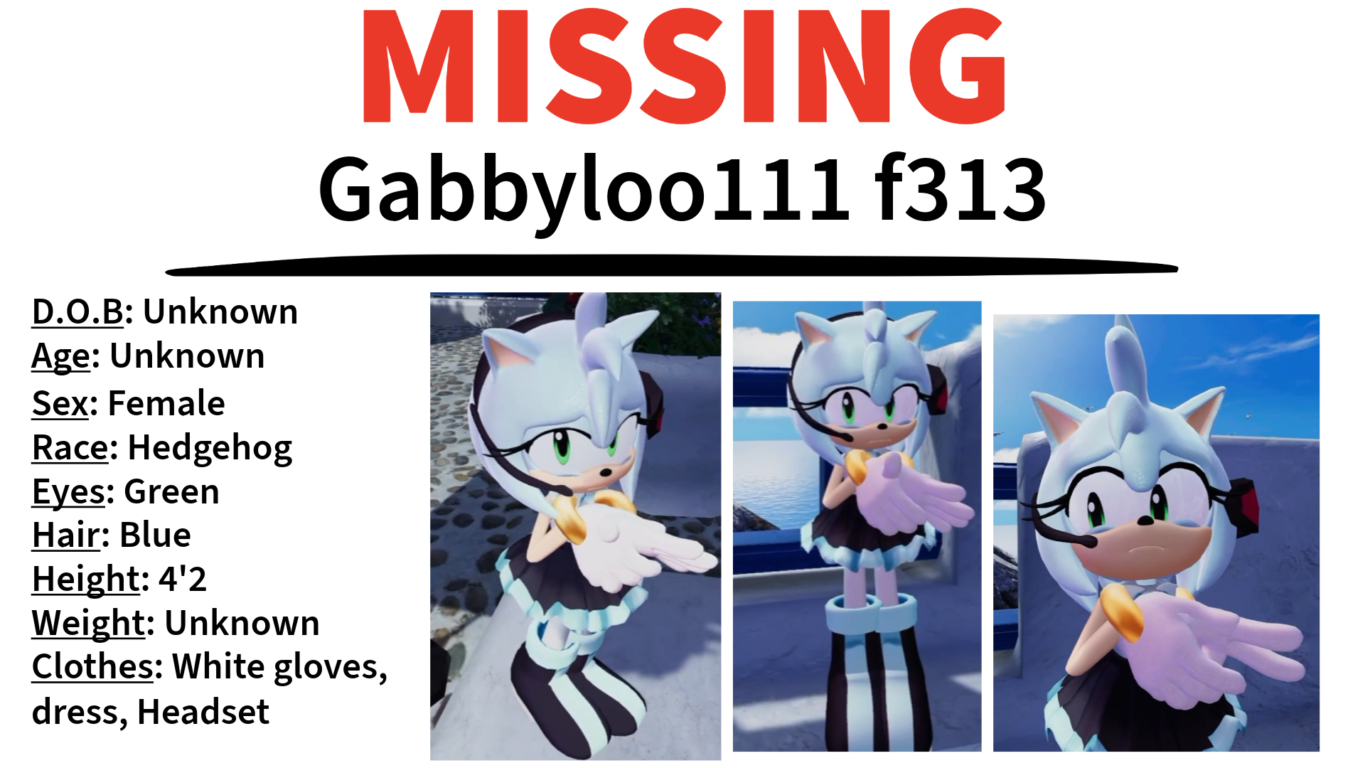 Where Is GABBYLOO111 F313のバナー