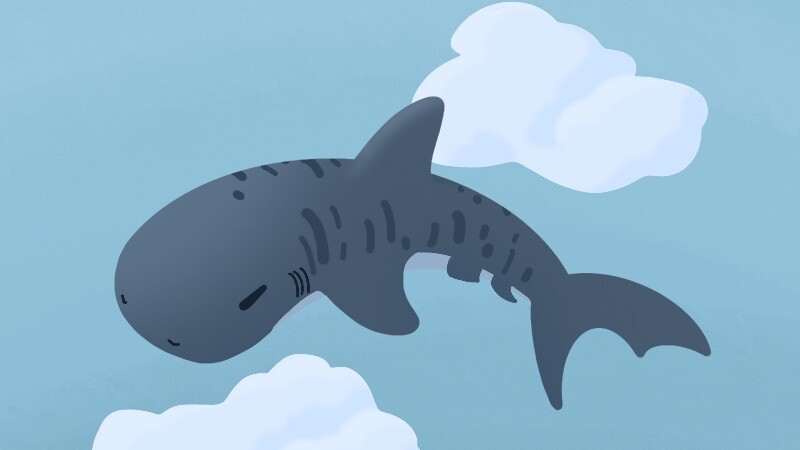 Cozy Sharksのバナー