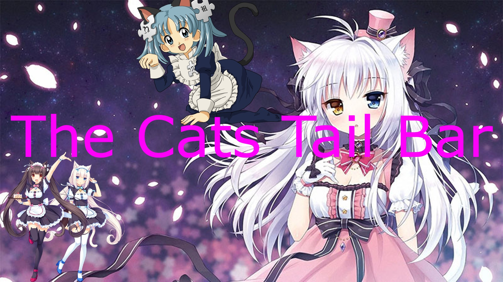 The Cats Tail Bar owner