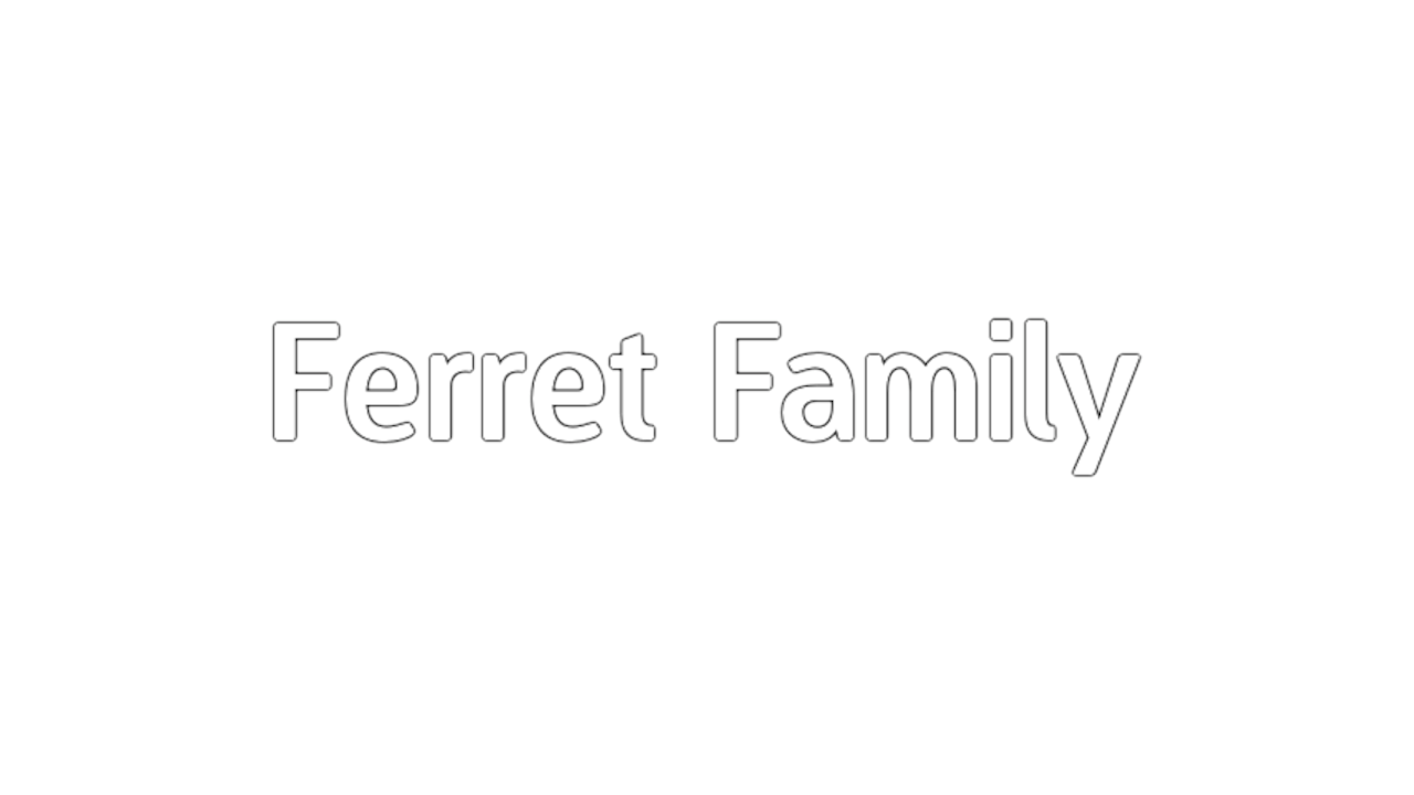 Ferret Family