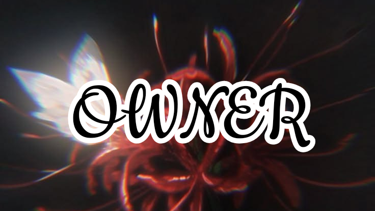 Spiderlily owner