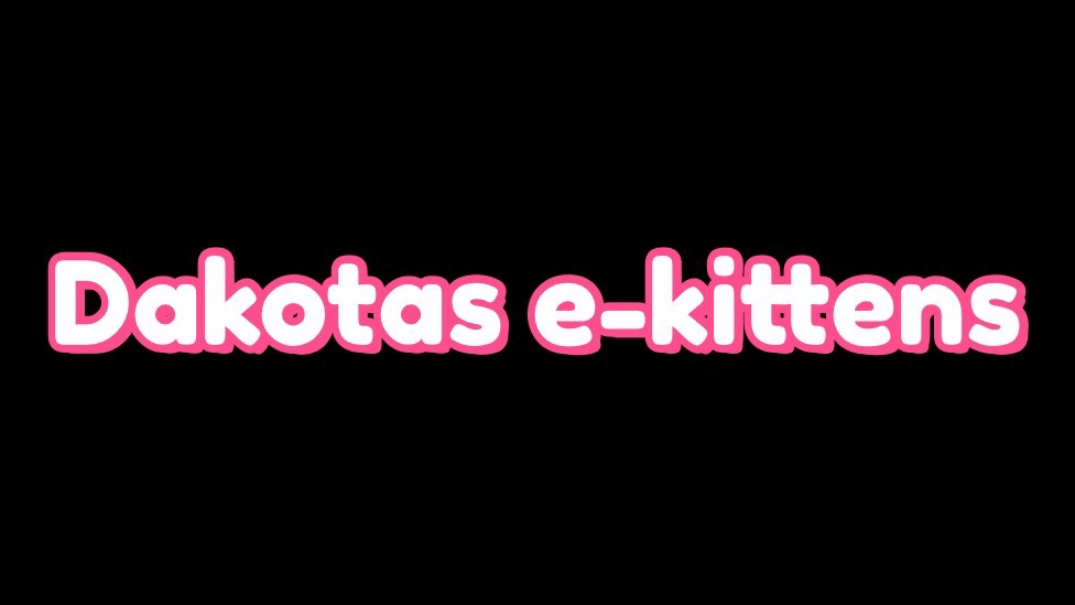 Dakotas e-kittensのバナー