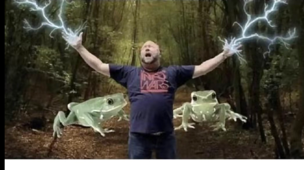 BONK GANG