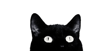 ღCat Worshippersღ