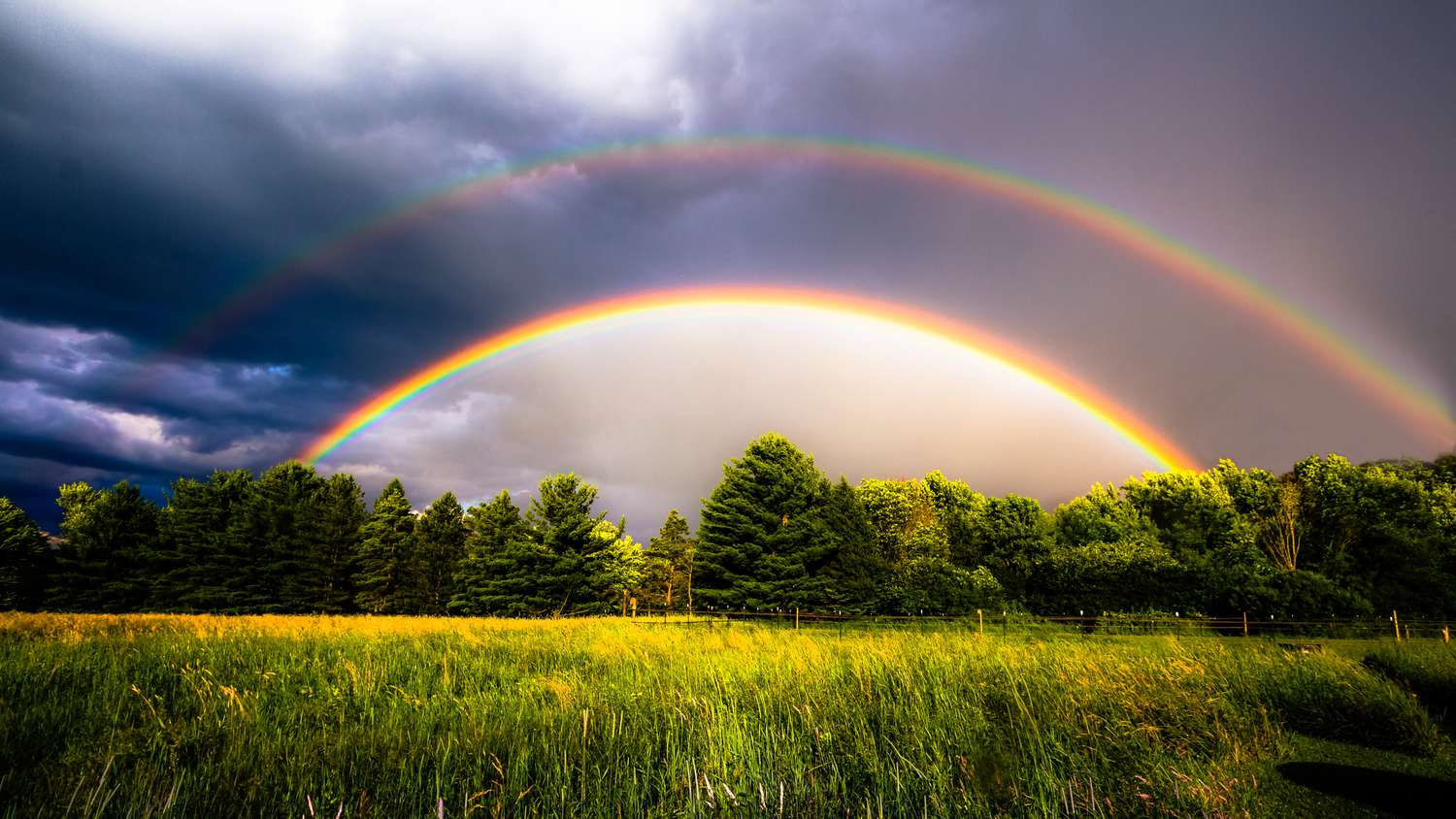 RainbowGang