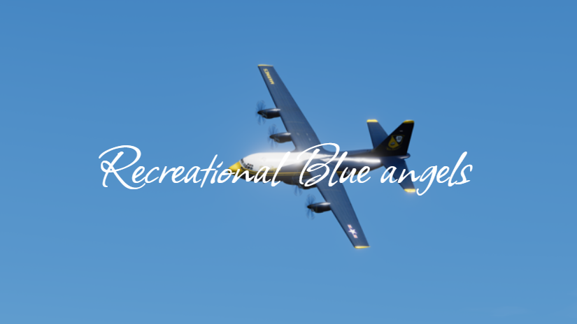 Recreational Blue Angels Staff and Pilots