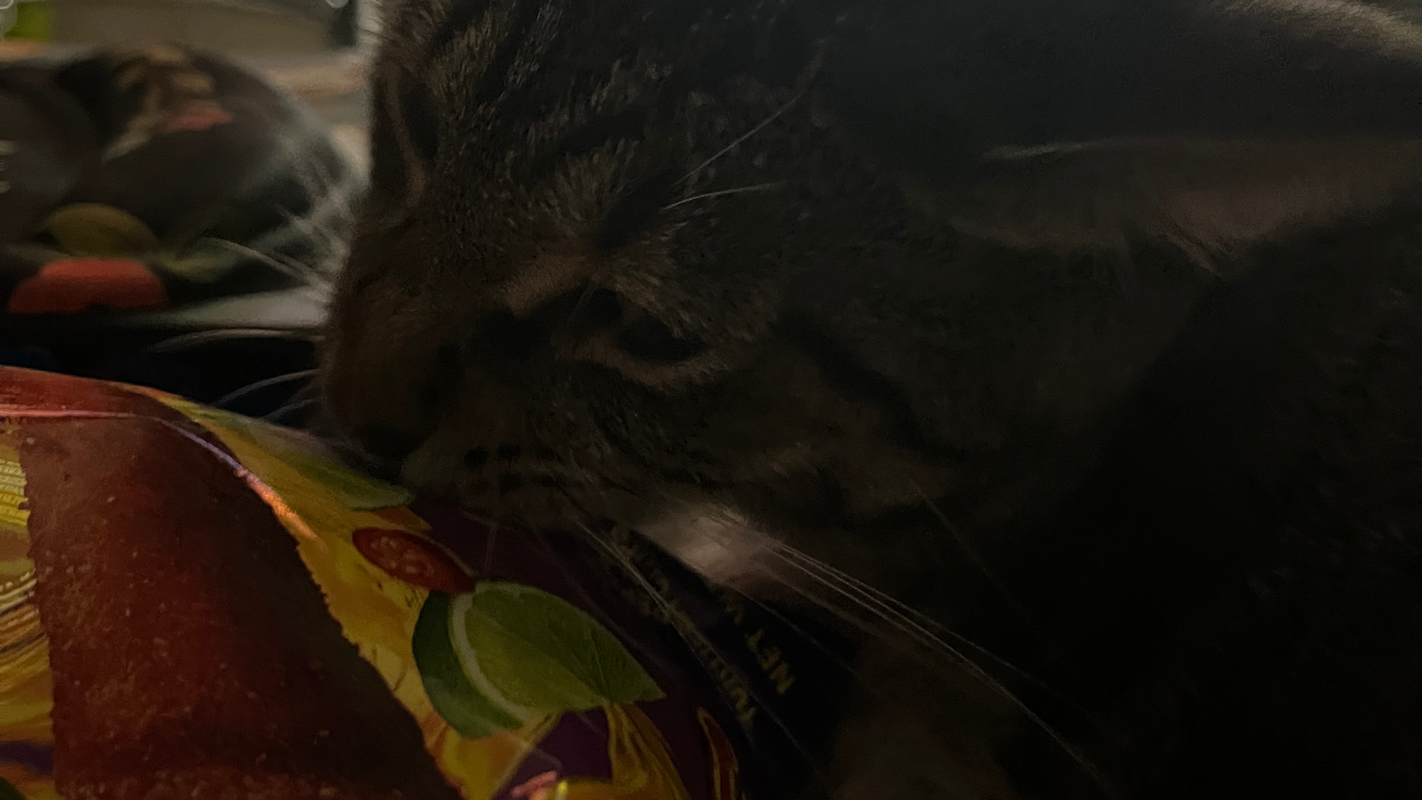 RINNYのバナー