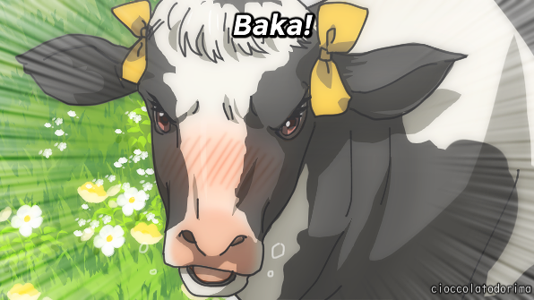 Bakaのバナー