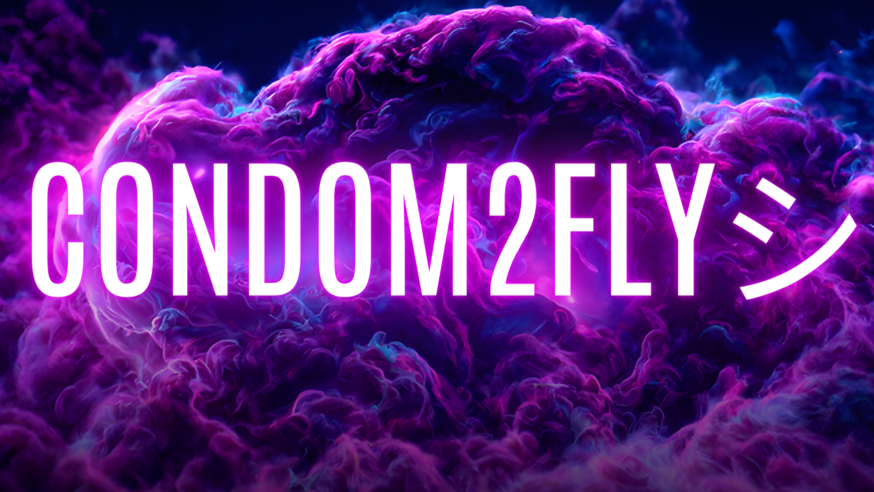 2FLYのバナー