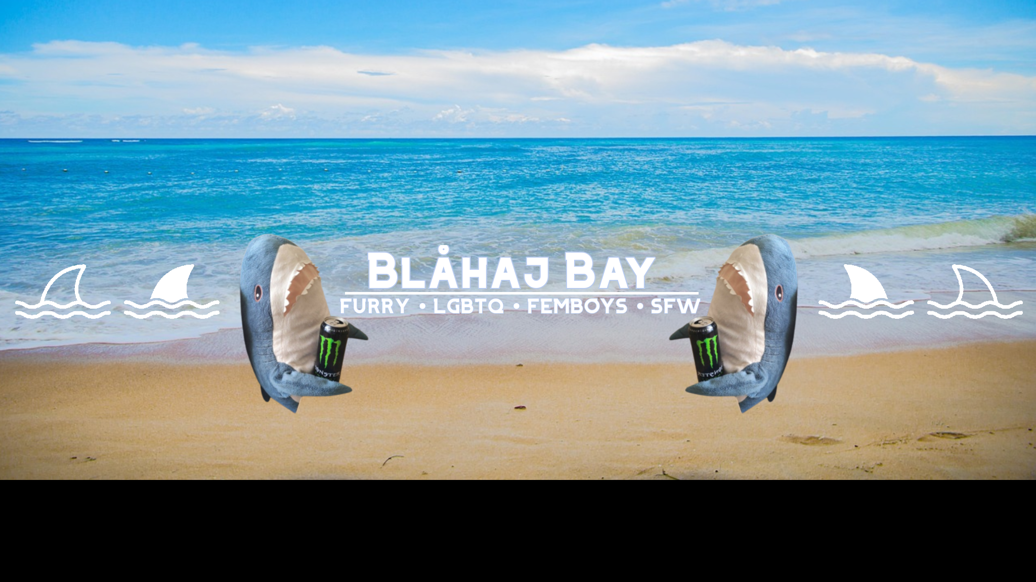 Blahaj Bayのバナー