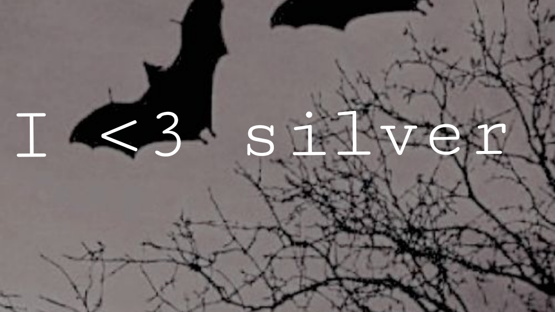 Silvers fan clubのバナー
