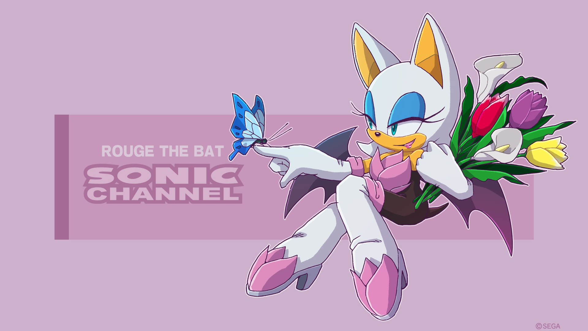 Official Rouge The Bat