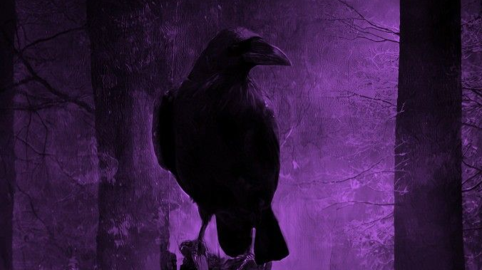 Crowws Nestのバナー