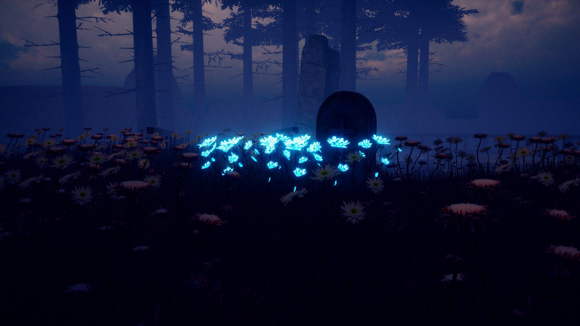 We Called It An SMP