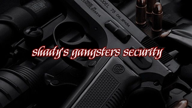 shady securityのバナー