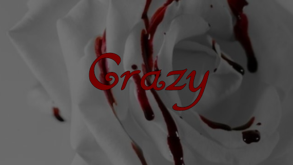 Crazy Familyのバナー