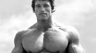 Arnold Fanのバナー