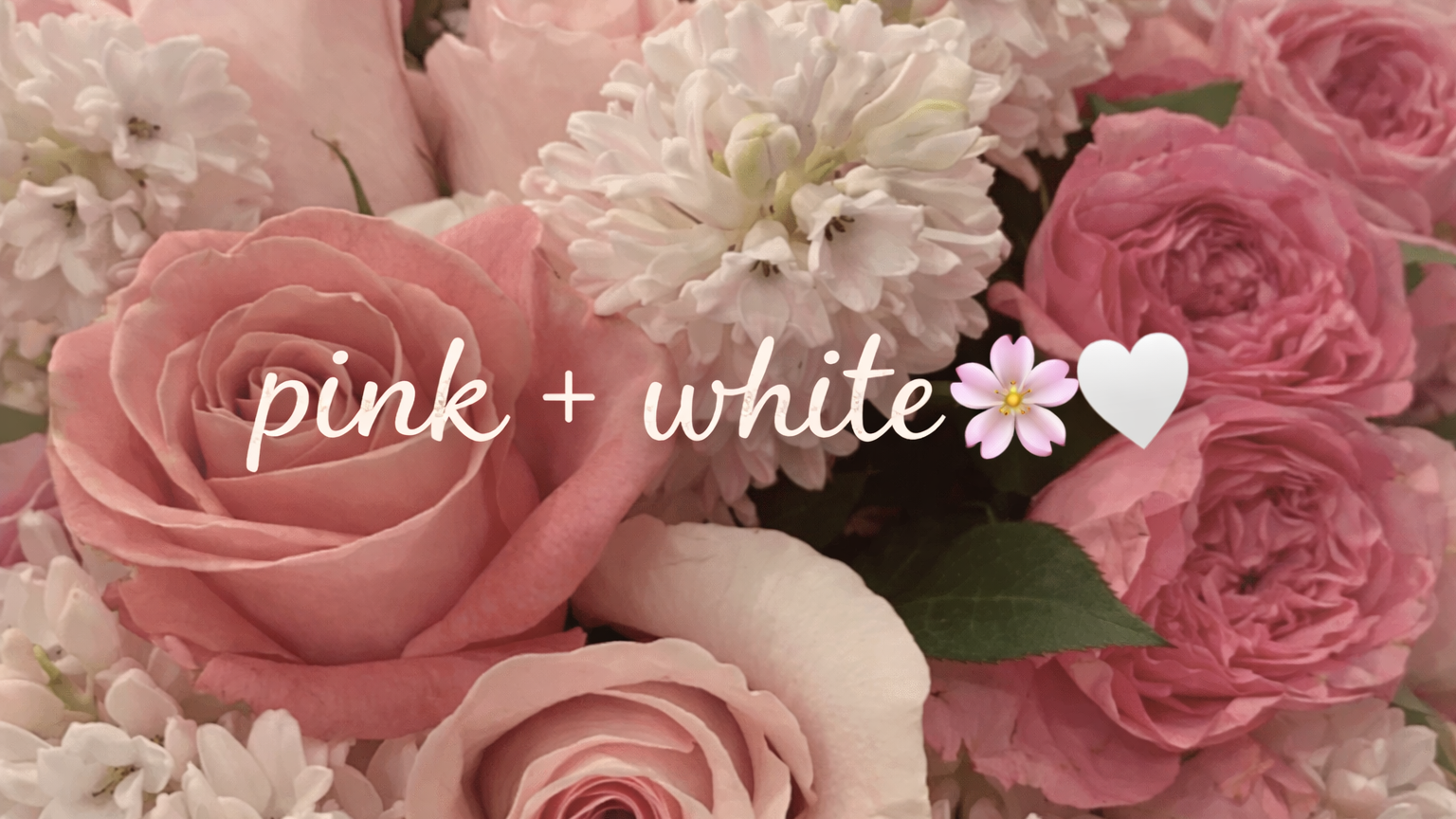 pink and whiteのバナー