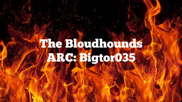 The Bloudhoundsのバナー