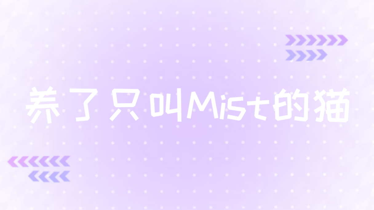 家有小咪