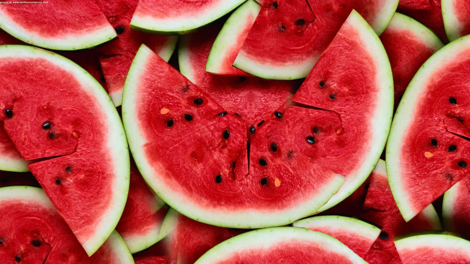 MELON CULT
