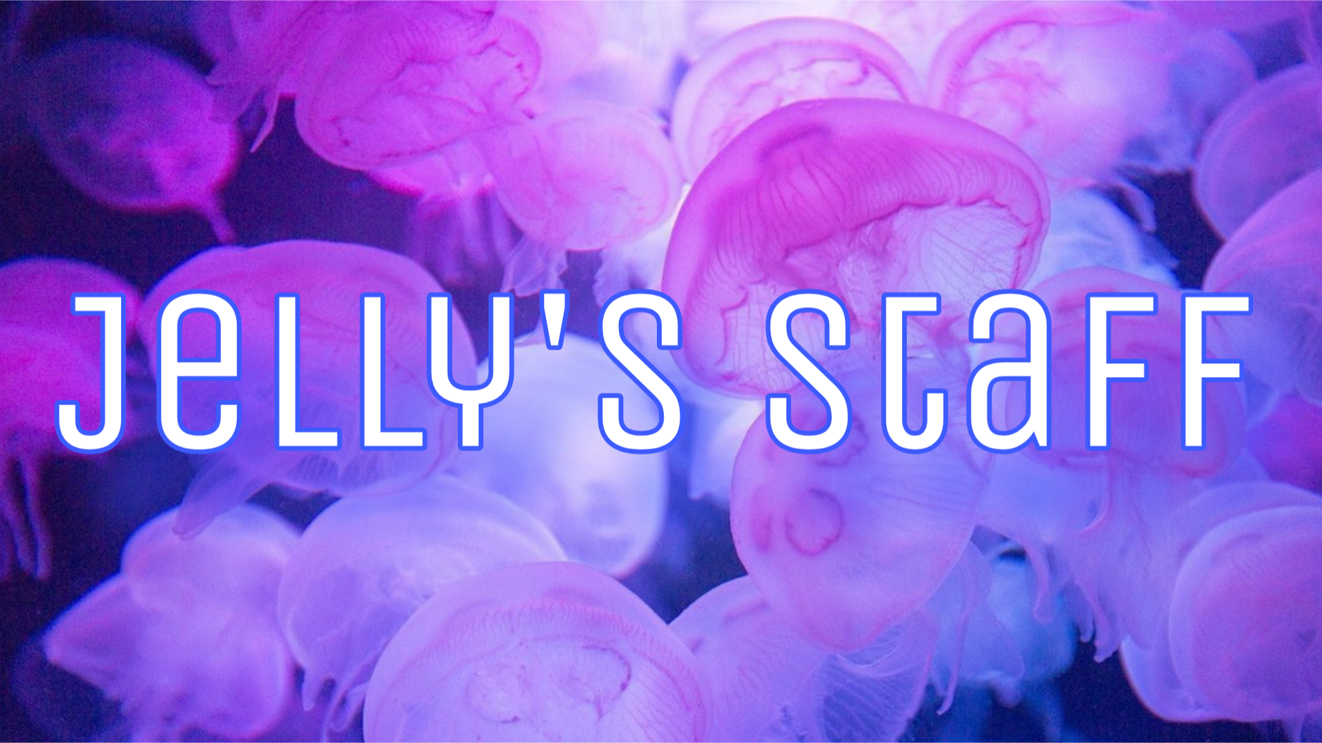 The Jelly Bar Staff