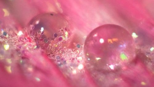 Light pinkのバナー