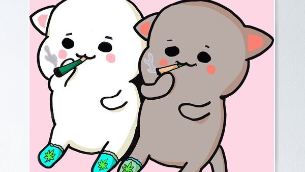 Chronic cuddlesのバナー