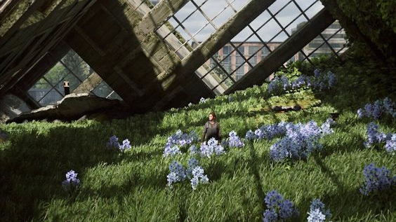 flowers Garden