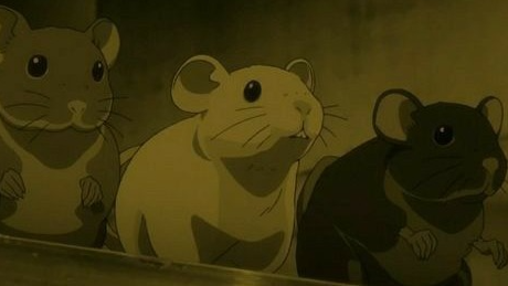 Rat Packのバナー