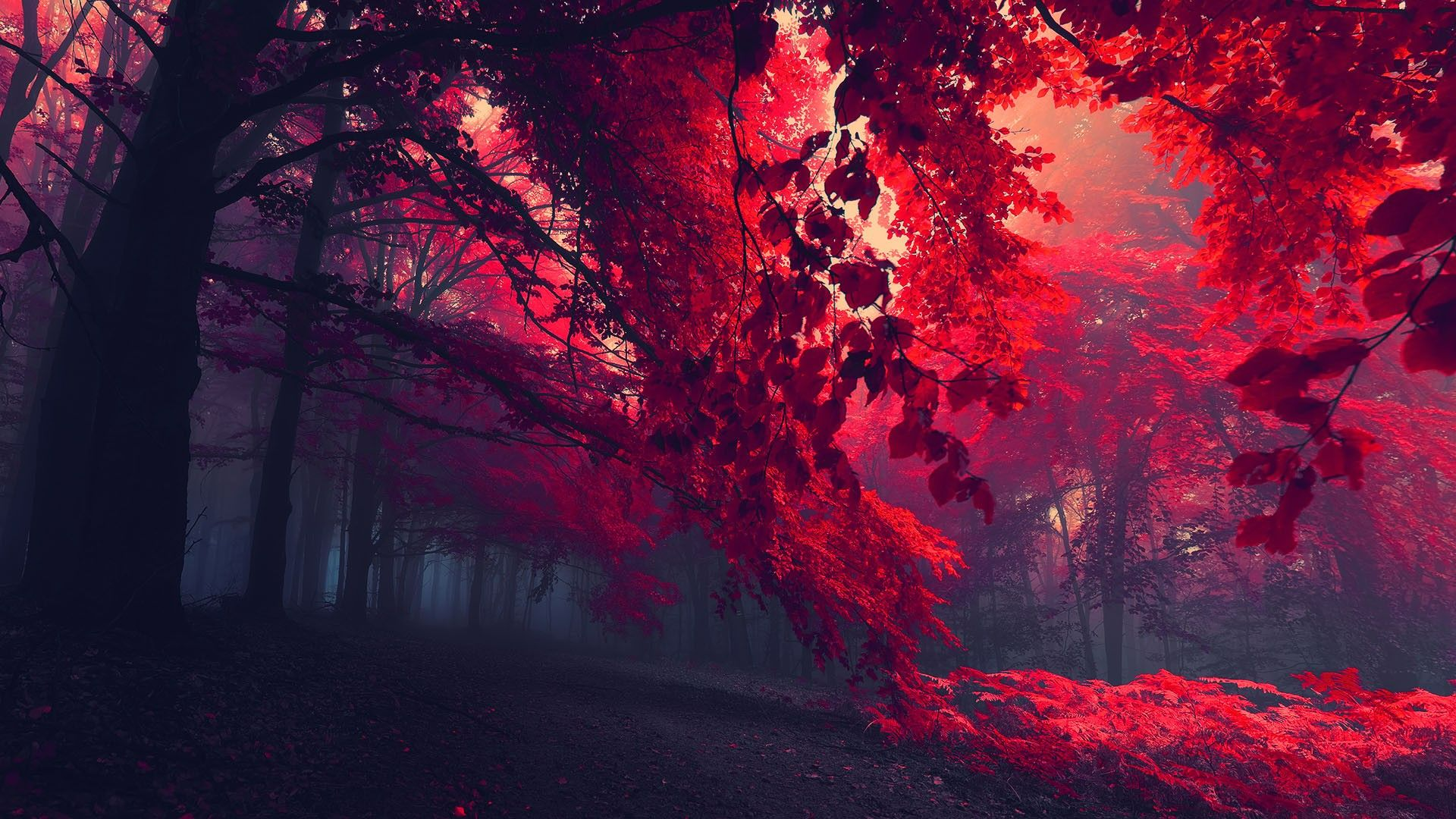 My Own World
