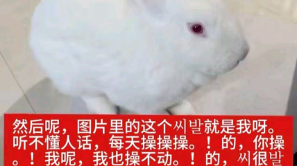 然后呢