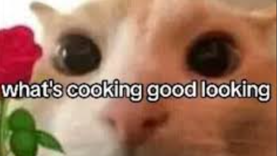 CAT LOVERRSSのバナー