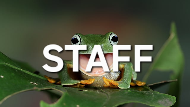 Frog Lovers staffのバナー