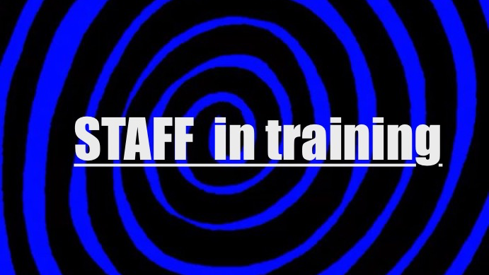 Silly fellas staff traineesのバナー