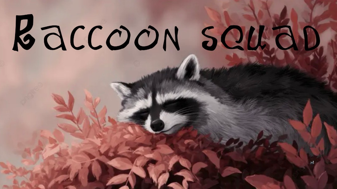 Raccoon squadのバナー