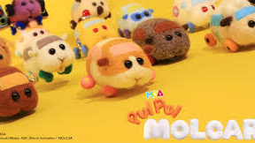 PUIPUIMOLCAR