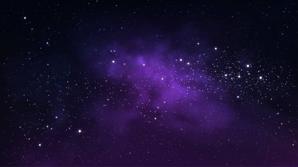 Purple fiendsのバナー