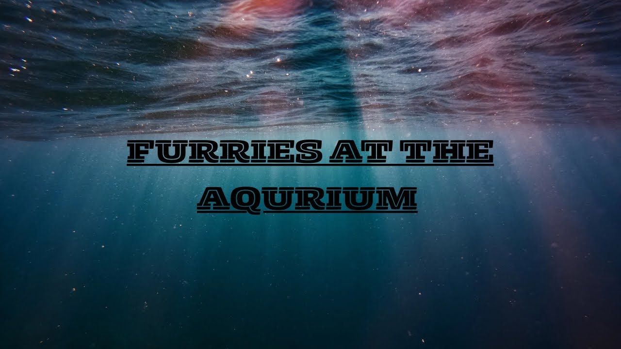 The Furry Aquariumのバナー