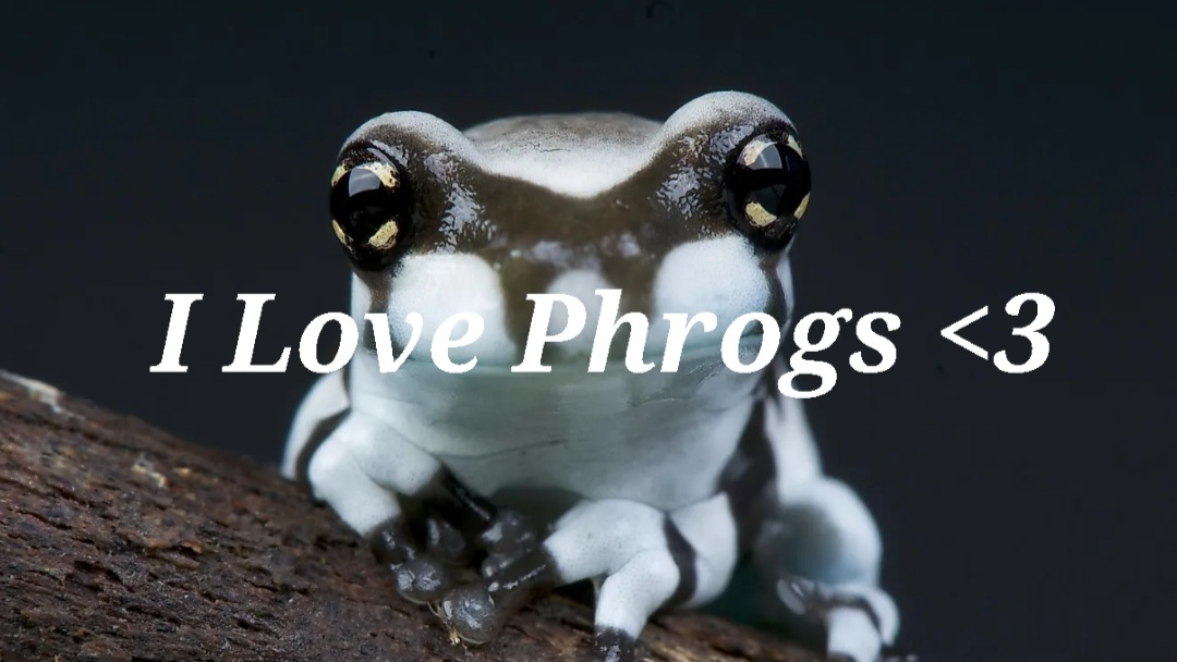 Phrogsのバナー