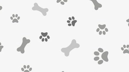 Puppy Palaceのバナー