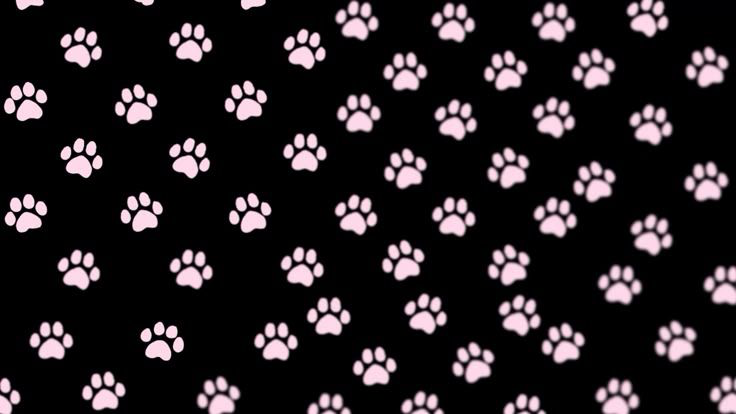 ARFのバナー