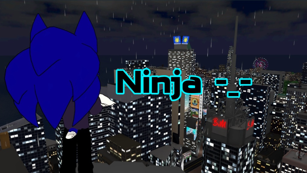 Zay's Ninja Squadのバナー