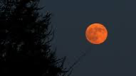 Blood_moon's gang